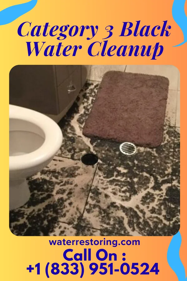 Category 3 Black Water Cleanup in Belleview, KY