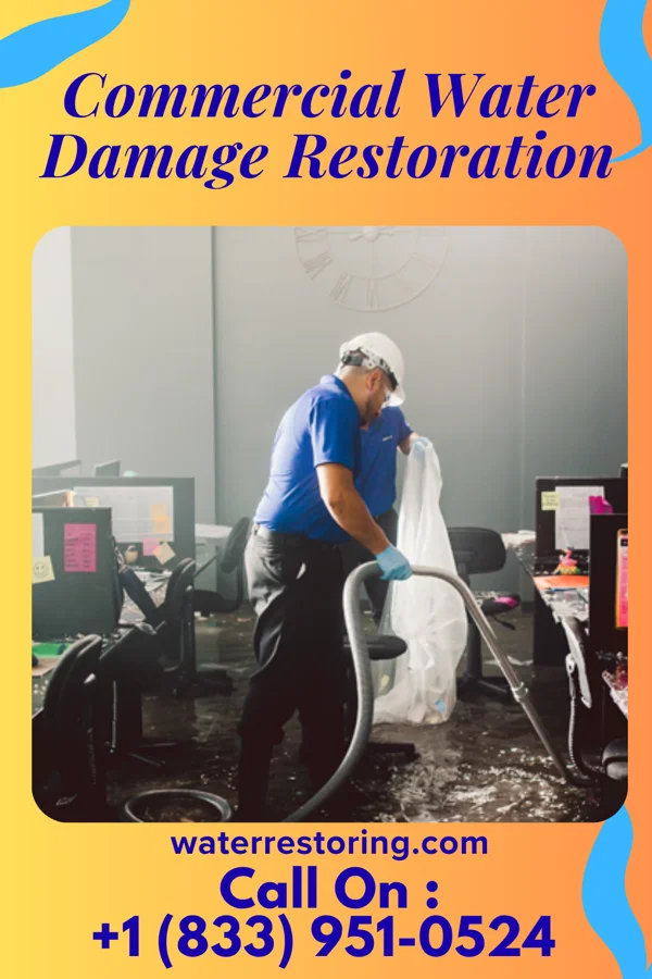 Commercial Water Damage Restoration in Belleview, KY