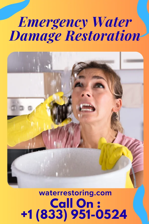 Emergency Water Damage Restoration in Belleview, KY