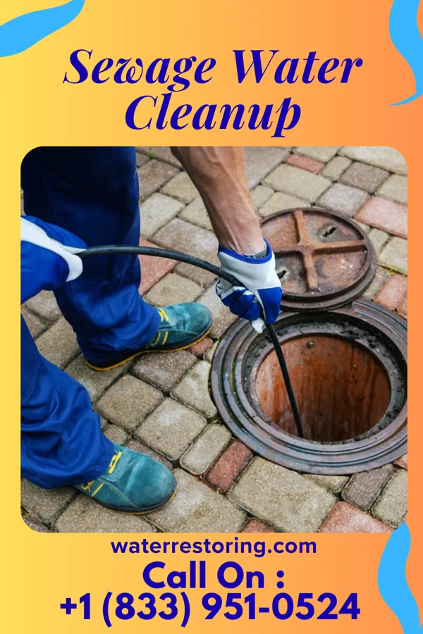 Sewage Water Cleanup in Belleview, KY