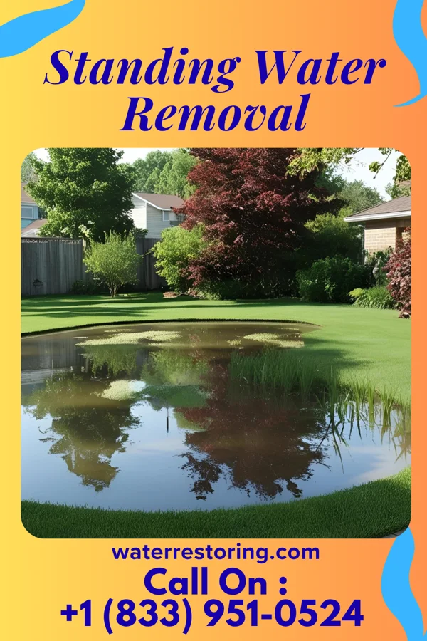 Standing Water Removal in Belleview, KY